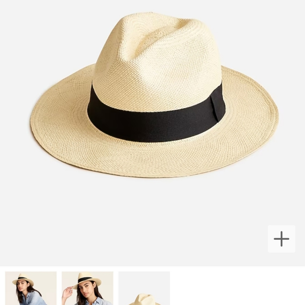 J Crew Panama Hat